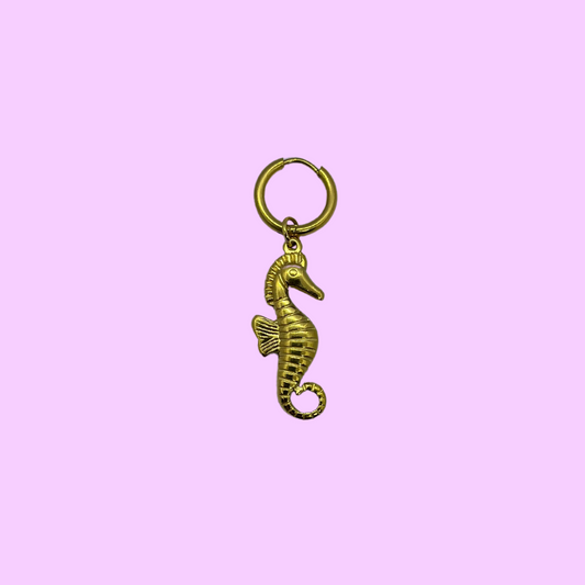 Seahorse - per stuk